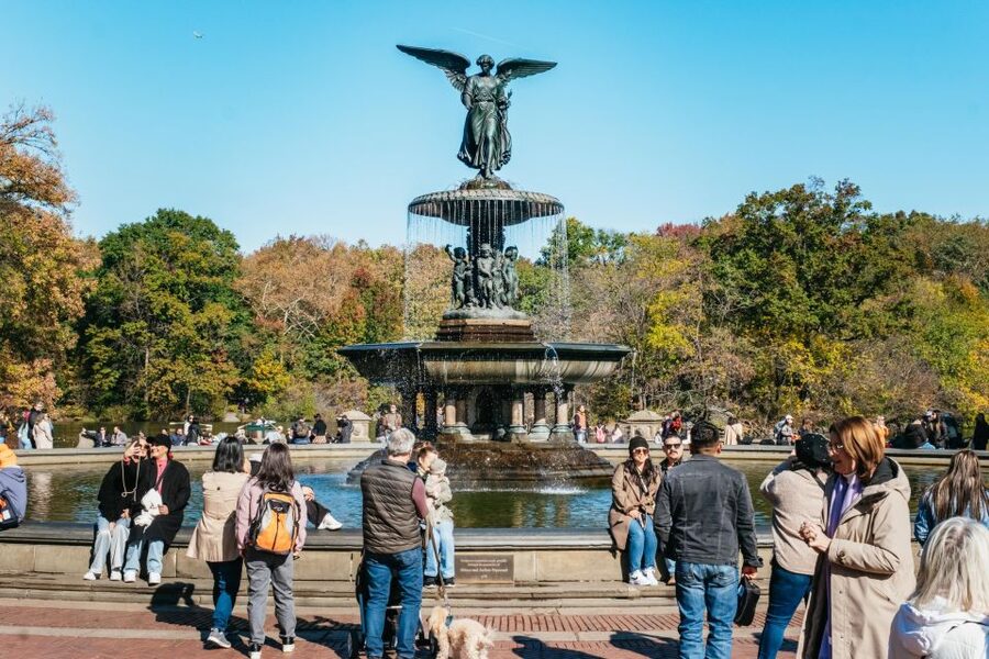 NYC: Central Park Guided Pedicab Tour - Key points at a glance
