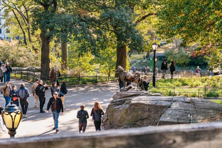 NYC: Central Park Guided Pedicab Tour - Weather and comfort: what to plan for