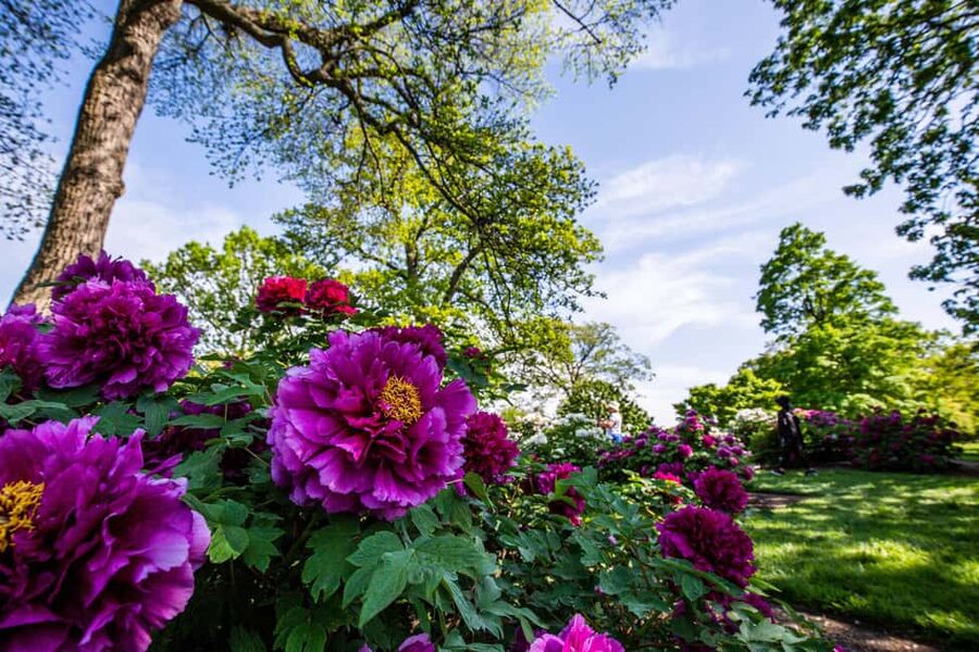 NYC: New York Botanical Garden Pass - Fall pumpkins, winter trains, and spring orchids