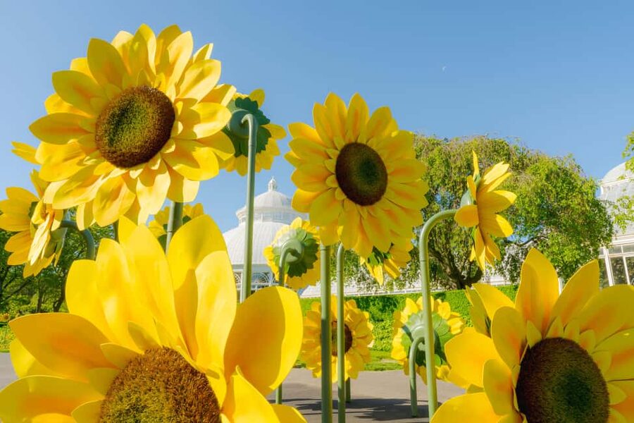 NYC: New York Botanical Garden Pass - Starting at the Leon Levy Visitor Center