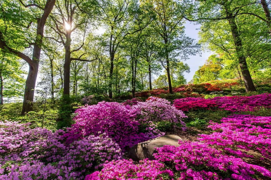 NYC: New York Botanical Garden Pass - Rock Garden, conifers, and the wider grounds