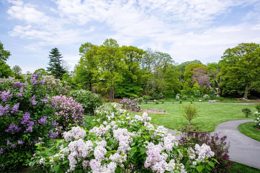 NYC: New York Botanical Garden Pass - The included tram tour