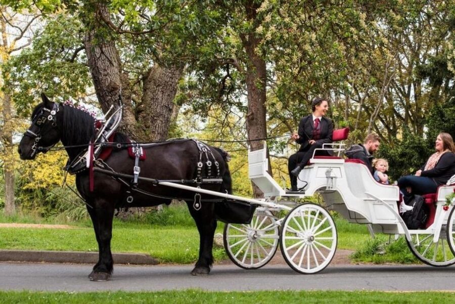 NYC: Private Central Park Horse Carriage Ride with Guide - The carousel and Tavern on the Green add variety