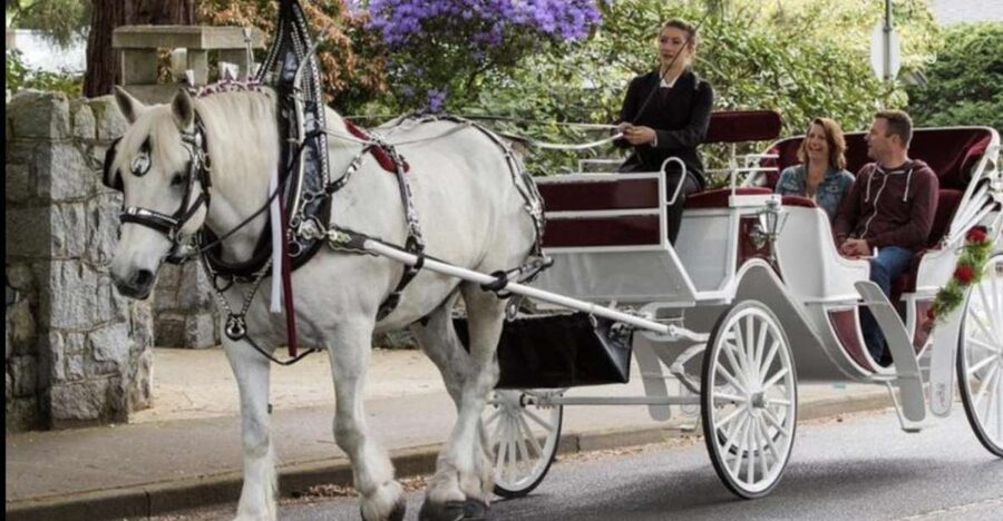 NYC: Private Central Park Horse Carriage Ride with Guide - The city option brings Fifth Avenue and bright lights