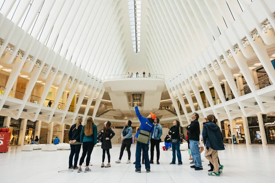 NYC: Wall Street Tour with 9/11 Memorial and Statue Ferry - What you can do on Liberty Island