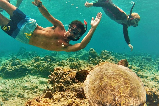 Oahu Circle Island Tour with Turtle Snorkeling— Small-Groups - Why this tour works for seeing Oahu in one day