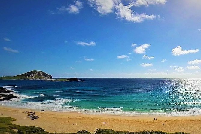 Oahu Circle Island Tour with Turtle Snorkeling— Small-Groups - A North Shore farm lunch with local flavors