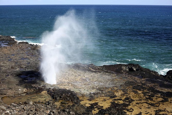 Oahu Circle Island Tour with Waimea Waterfall - North Shore fruit and surf