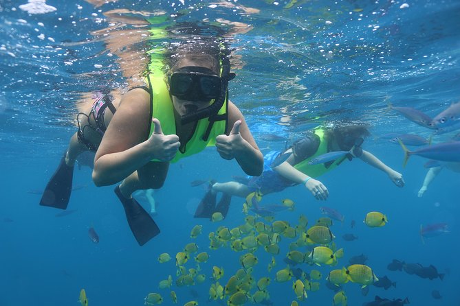 Oahu Dolphin and Snorkel Tour with Waikiki Pickup & Lunch - What happens once you board