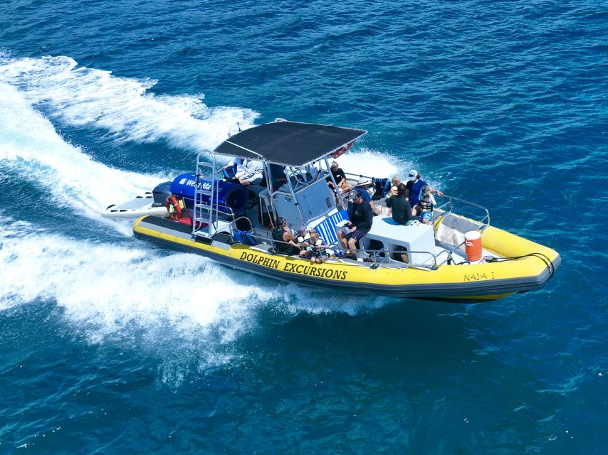 Oahu: Dolphin Swim and Turtle Snorkel Excursion in Waianae - When swimming with dolphins is allowed