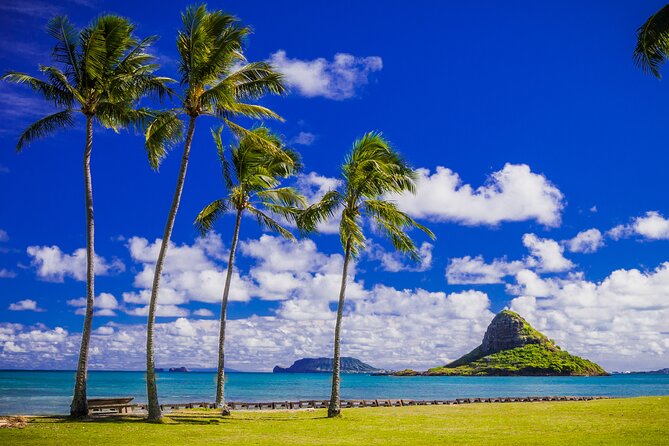 Oahu Grand Circle Island and Haleiwa Tour: 9-Hr Deluxe Experience - Byodo-In Temple, koi ponds, and the sacred bell
