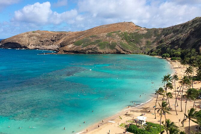 Oahu Grand Circle Island and Haleiwa Tour: 9-Hr Deluxe Experience - Tropical Farms and a taste of local products