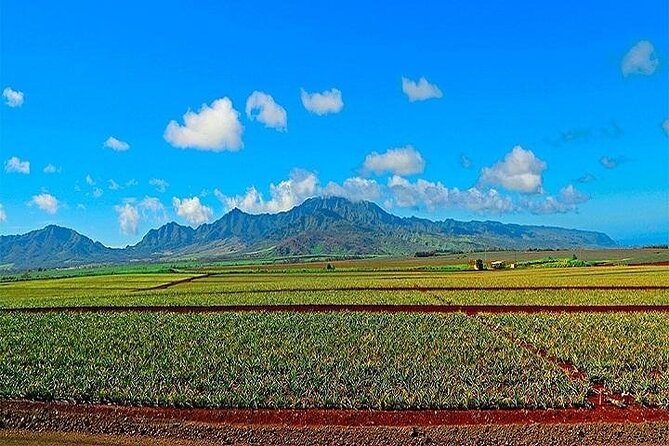Oahu Grand Circle Island Experience from Waikiki - Halona Blowhole and Oahu’s southeastern shore