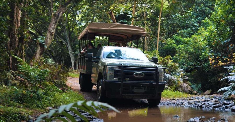 Oahu: Kualoa Open Air Jungle Expedition Tour - The bumpy road into Hakipuʻu rainforest