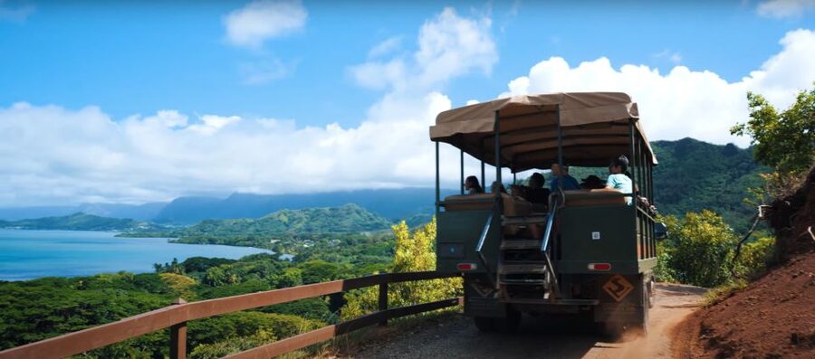 Oahu: Kualoa Open Air Jungle Expedition Tour - What you learn beyond the movie connection