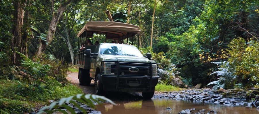 Oahu: Kualoa Open Air Jungle Expedition Tour - Starting at Kualoa Ranch, not Waikiki