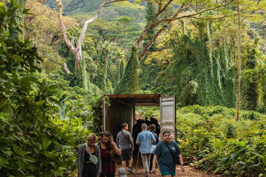 Oahu: Manoa Falls Waterfall Hike with Lunch and Transfers - Reaching the 150-Foot Manoa Falls