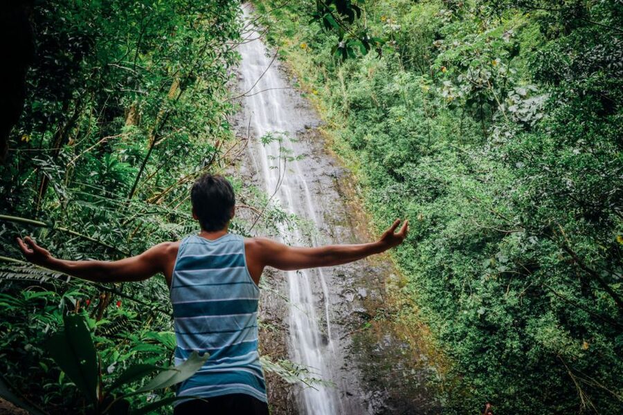 Oahu: Manoa Falls Waterfall Hike with Lunch and Transfers - Who Should Book This Hike?
