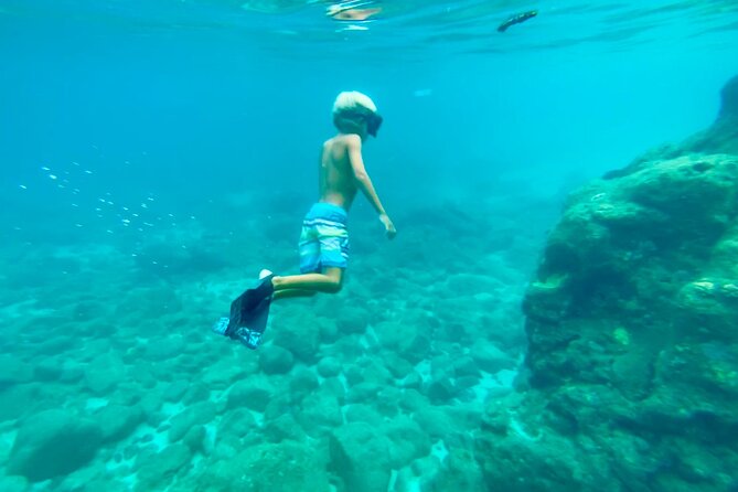 Oahu North Shore Experience: Activities, Waterfall & Free Time - Haleiwa adds food, shops, and a slower hour