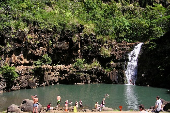 Oahu North Shore Experience: Activities, Waterfall & Free Time - Waimea Bay and the North Shore beach choices