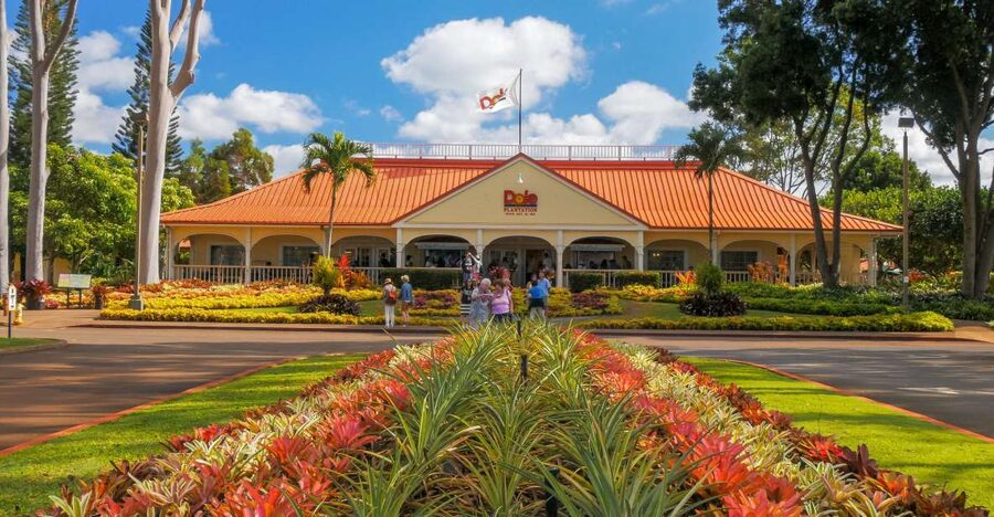 Oahu: Oahu Ultimate Grand Circle Island Tour - Meeting in Waikiki without the morning scramble