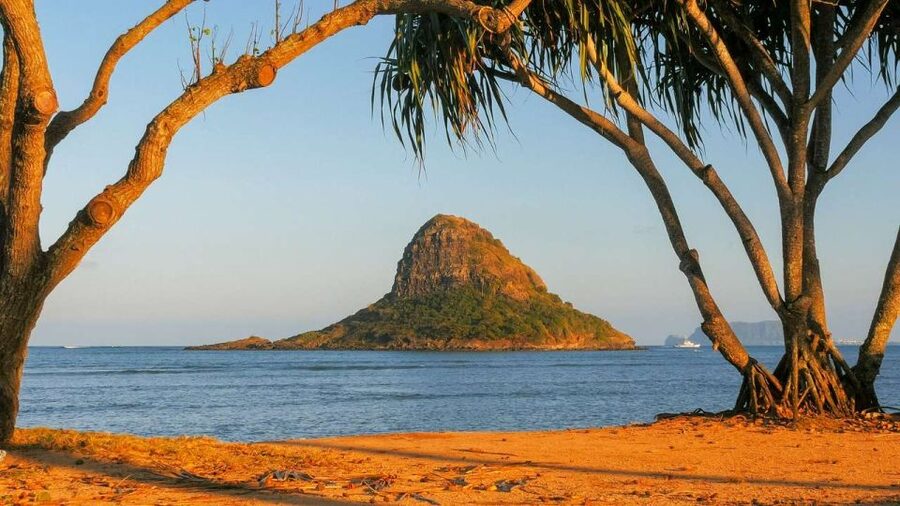 Oahu: Oahu Ultimate Grand Circle Island Tour - One hour at Turtle Beach