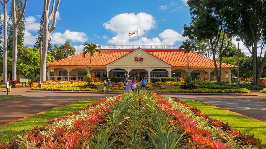 Oahu: Oahu Ultimate Grand Circle Island Tour - Diamond Head and the east coast opening act