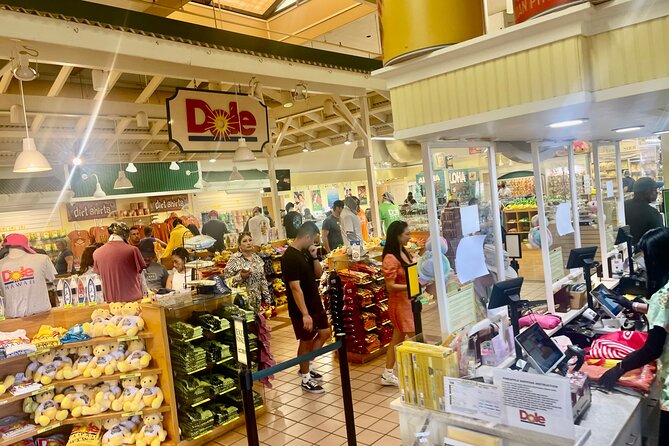 Oahu: Roundtrip Shuttle From Waikiki to Dole Plantation & Haleiwa - Dole Plantation from 9:30 to 11:30
