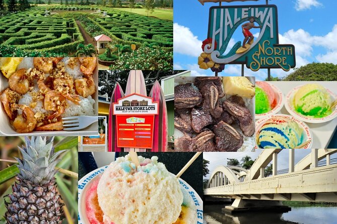 Oahu: Roundtrip Shuttle From Waikiki to Dole Plantation & Haleiwa - Who will enjoy this day most