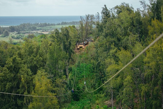 Oahu's North Shore: 8-Line Zipline Adventure - Rappels, bridges, and boardwalks add variety