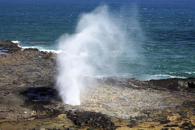 Oahu's Ultimate Tour: Dole, Turtle Snorkel, Pali Lookout & More - Guides, buses, and the human side of the day