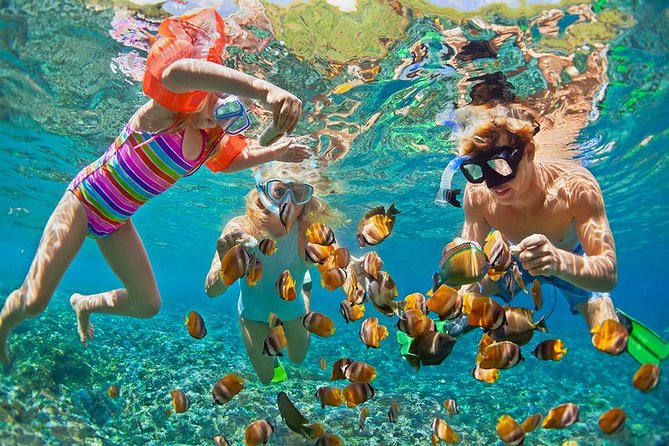 Oahu's Ultimate Tour: Dole, Turtle Snorkel, Pali Lookout & More - Diamond Head, Kahala, and the southeastern coast