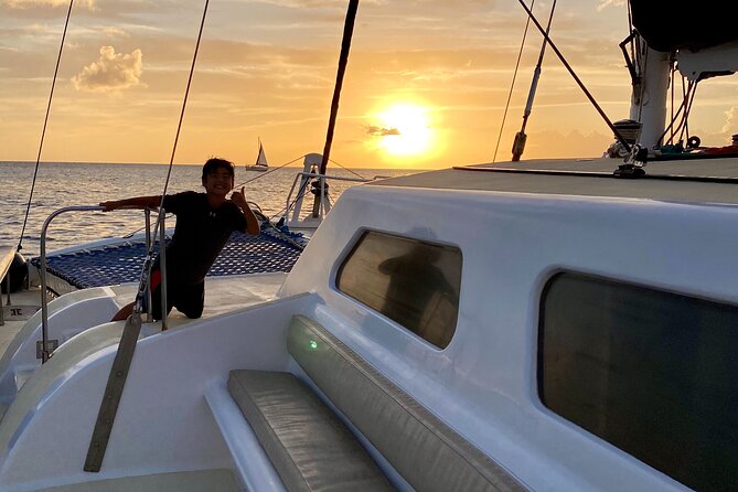 Oahu's Waikiki Coast: Moana’s Sunset Cocktail Sail - Dolphins and humpback whales from November through May