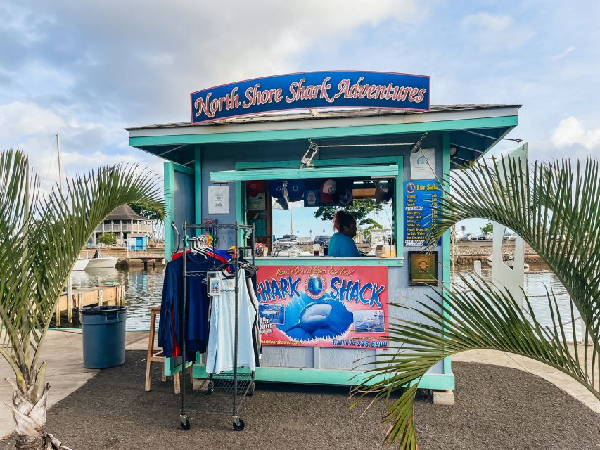 Oahu: Shark Cage Dive on the North Shore - Meeting the sharks off Haleiwa