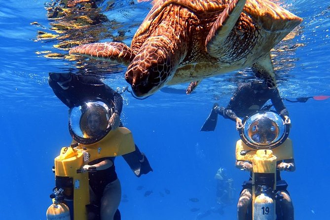 Oahu: Submarine Scooter Adventure - Why this underwater scooter trip feels different