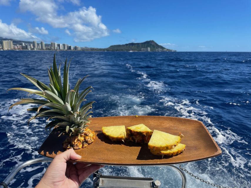 Oahu: Turtle Canyon Snorkeling Boat Tour - Who should book this Honolulu snorkeling trip?
