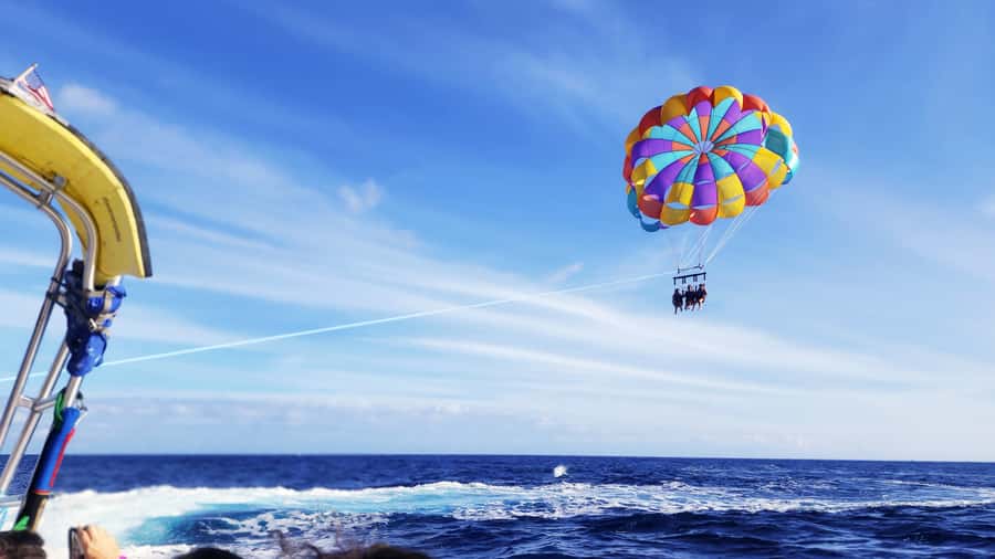 Oahu: Waikiki Parasailing - Who should book this Waikiki flight?