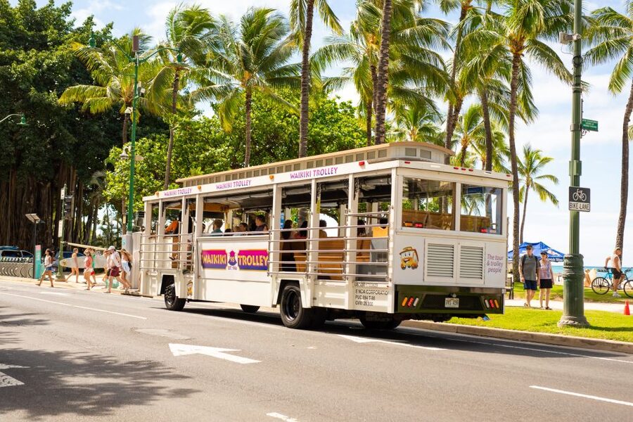 Oahu: Waikiki Trolley Hop-on Hop-off All-Line Pass - Green Line: Diamond Head and KCC Farmers’ Market