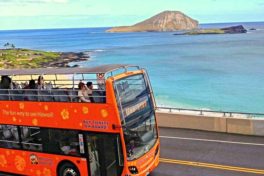 Oahu: Waikiki Trolley Hop-on Hop-off All-Line Pass - Is $62 a fair price?