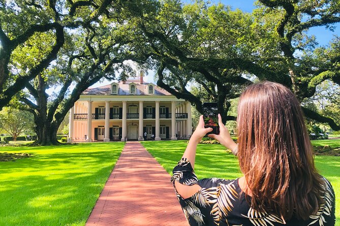 Oak Alley Plantation Tour with Transportation from New Orleans - The long oak avenue into Oak Alley