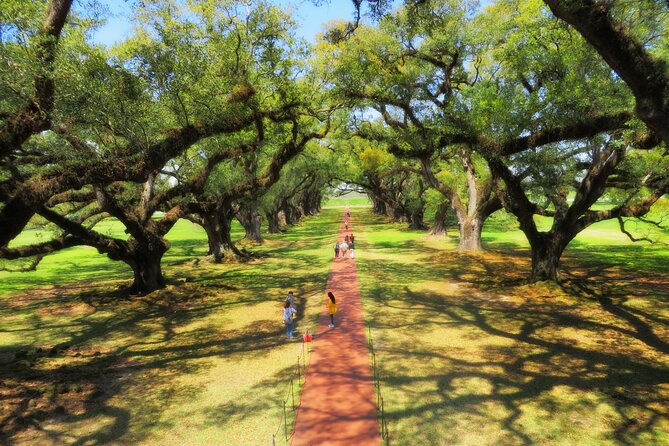 Oak Alley Plantation Tour with Transportation from New Orleans - The grounds, exhibits, and the difficult story