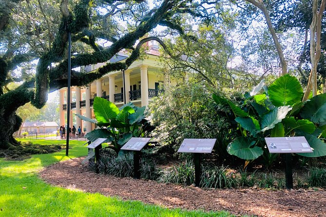 Oak Alley Plantation Tour with Transportation from New Orleans - Food, shopping, and how to use your two hours