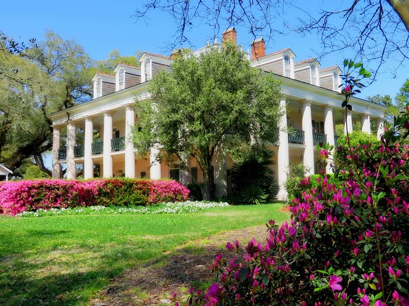 Oak Alley Plantation Tour with Transportation from New Orleans - Is the optional swamp tour worth adding?