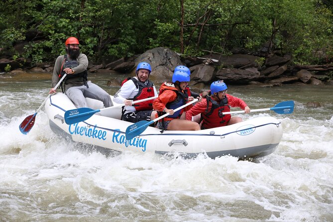 Ocoee River Middle Whitewater Rafting Trip (Most Popular Tour) - Why the Middle Ocoee is the right half-day adventure