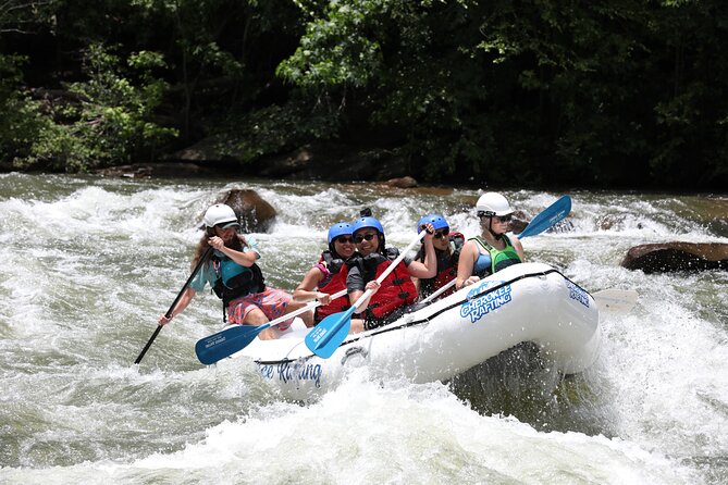 Ocoee River Middle Whitewater Rafting Trip (Most Popular Tour) - How wet and demanding is the trip?