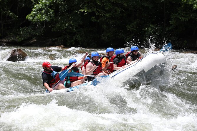 Ocoee River Middle Whitewater Rafting Trip (Most Popular Tour) - Who should book the Middle Ocoee?