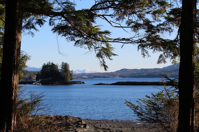 Off the Beaten Path Ketchikan Photo Safari - 3 hr. - What this Ketchikan photo tour really offers