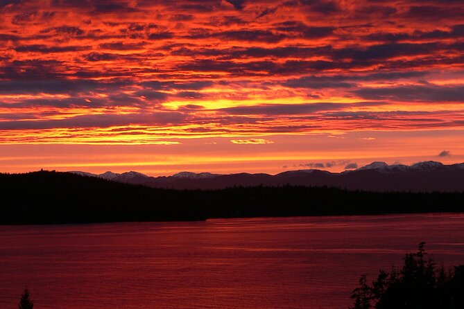 Off the Beaten Path Ketchikan Photo Safari - 3 hr. - The final overlook toward Danger Island