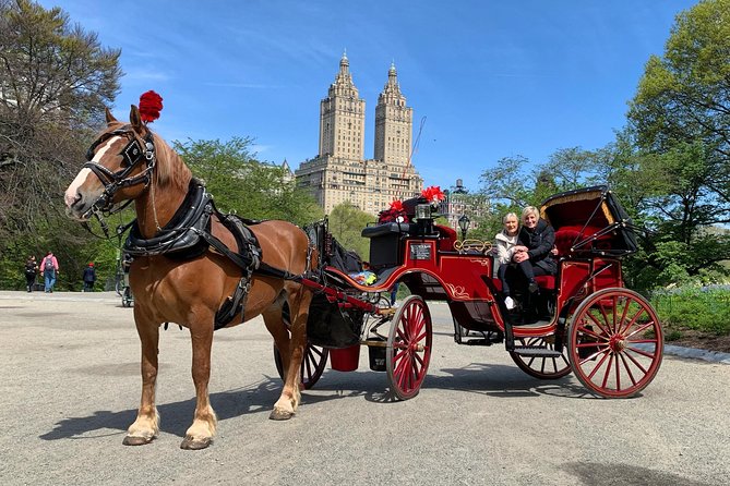 Official NYC Horse Carriage Rides in Central Park since 1979 ™ - Why a carriage ride works well in Central Park