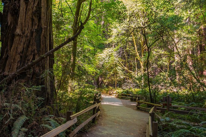 One Day in San Francisco: Alcatraz, Muir Woods, and SF City Tour - Starting in North Beach and seeing the city by minibus